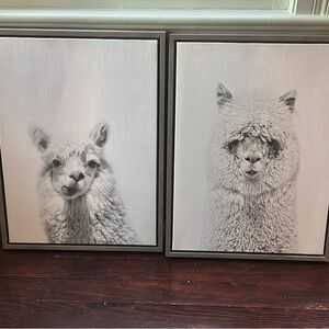 Set of Two Alpaca Wall Art Prints